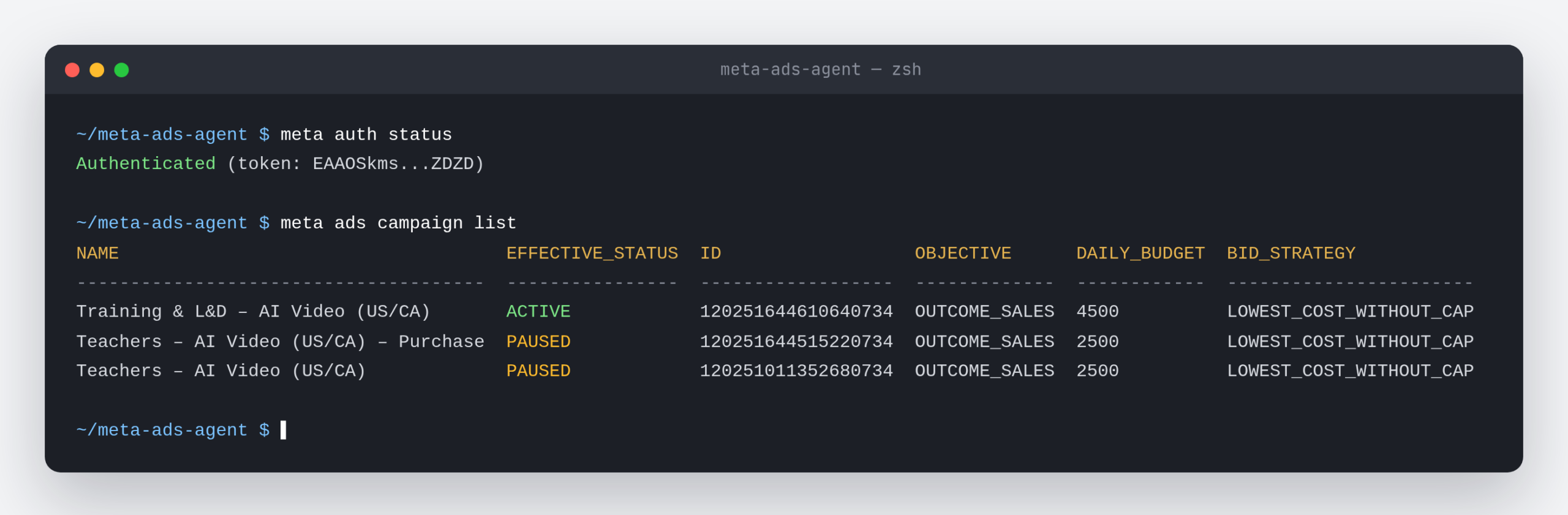 Terminal output of meta auth status and meta ads campaign list